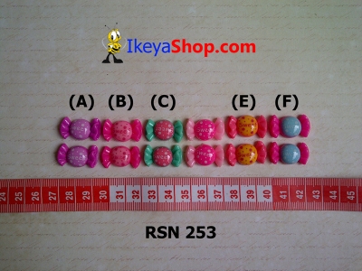 rsn 253  large2